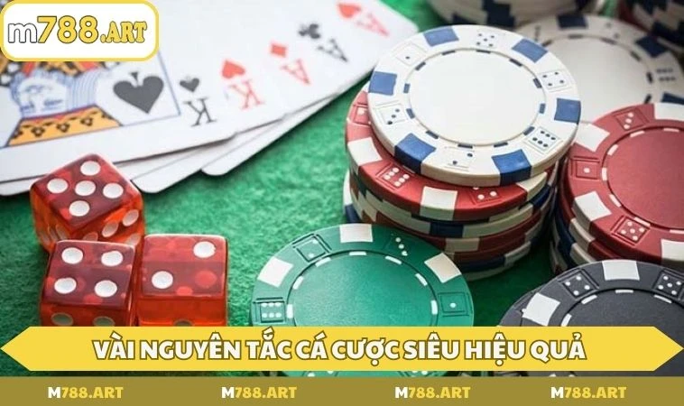 cach choi tien len mien nam nguyen tac Mách bạn một vài nguyên tắc cá cược siêu hiệu quả