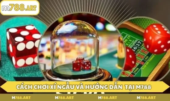 Cách chơi xí ngầu