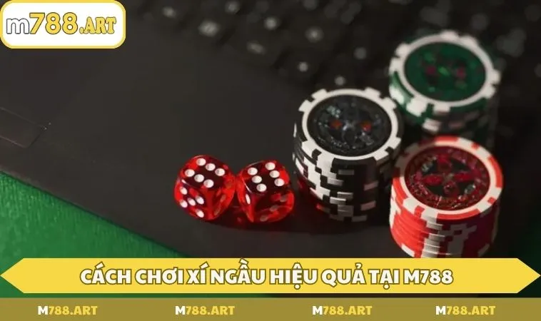 cach choi xi ngau hieu qua Cách chơi xí ngầu hiệu quả tại M788