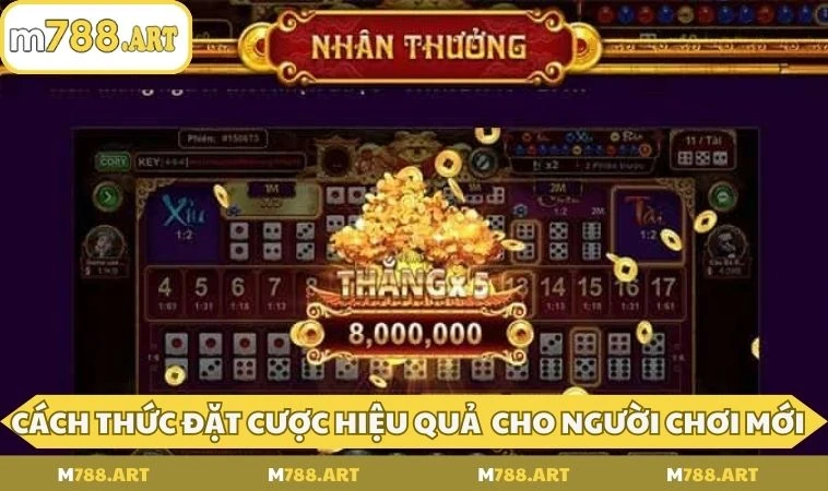 cach choi xoc dia hieu qua Cách thức đặt cược hiệu quả dành cho người chơi mới
