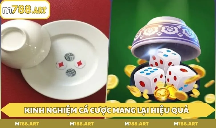 cach choi xoc dia kinh nghiem KInh nghiệm cá cược mang lại hiệu quả hơn