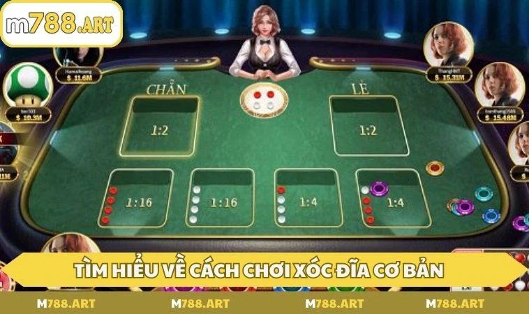 cach choi xoc dia tim hieu Tìm hiểu về cách chơi xóc đĩa cơ bản tại nhà cái M788