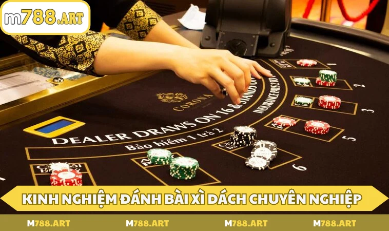 kinh nghiem danh bai xi dach chuyen nghiep thang lon Kinh nghiệm đánh bài xì dách chuyên nghiệp, thắng lớn