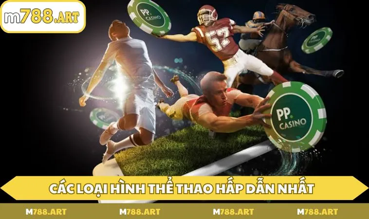 mot so loai hinh the thao hap dan nhat tai m788 1 Một số loại hình thể thao hấp dẫn nhất tại M788